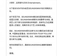 SEVENTEENԱʤͣ ԭǽ