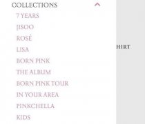 JennieYGԼ BLACKPINK̵б޴