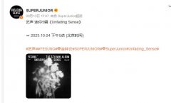 104շеרUnfading Sense