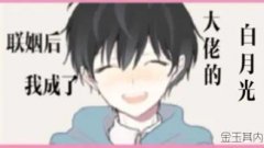 ݼȦģȦƼҳ˴е