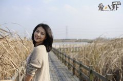 高圆圆老公叫什么名字, 国民女神嫁给了谁