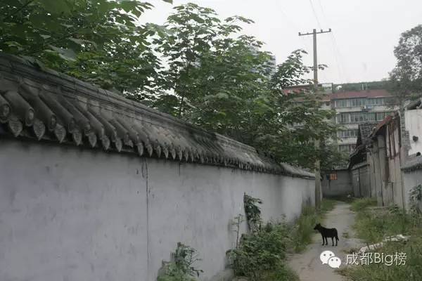 这封写了3650天的情书,送给我最亲爱的成都