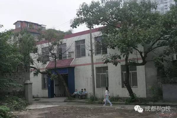 这封写了3650天的情书,送给我最亲爱的成都