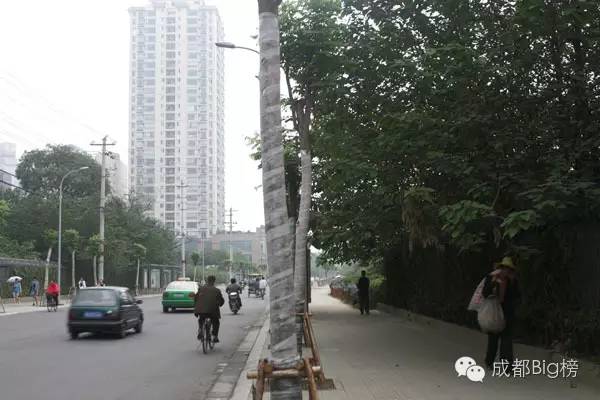 这封写了3650天的情书,送给我最亲爱的成都