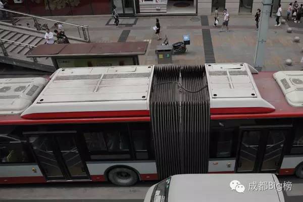 这封写了3650天的情书,送给我最亲爱的成都