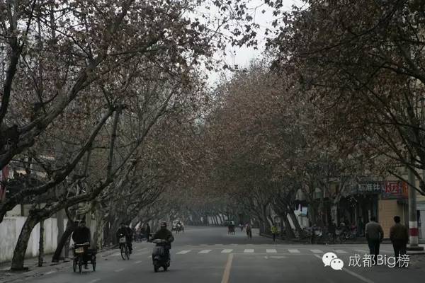 这封写了3650天的情书,送给我最亲爱的成都