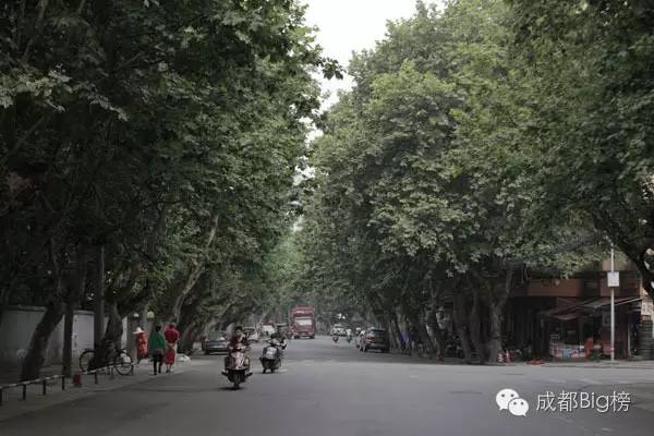 这封写了3650天的情书,送给我最亲爱的成都