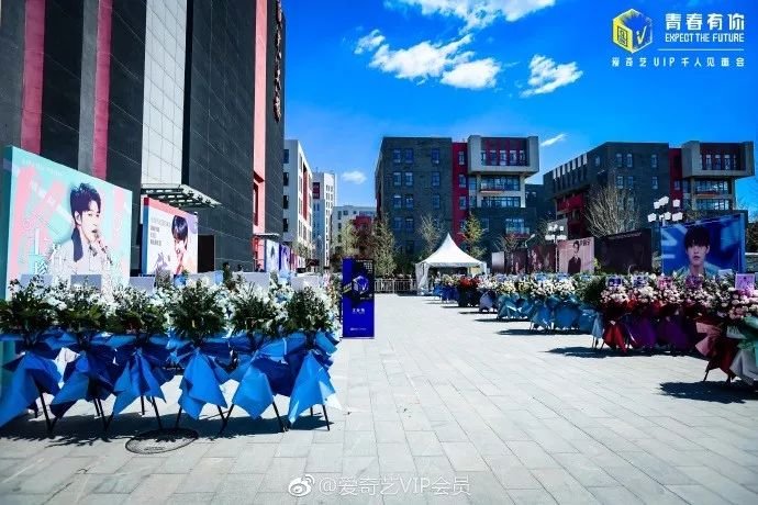 少年并肩而站,青春未来可期,爱奇艺VIP千人见面会燃爆现场