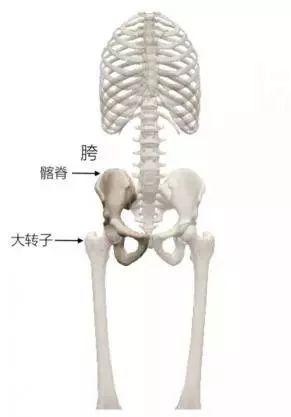 连香奈儿都啧啧称奇的平价牛仔裤,不仅显瘦10斤还腿长2米!