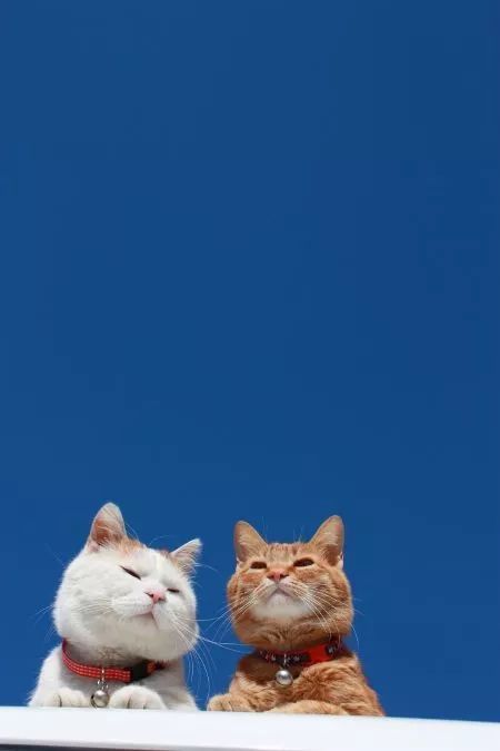  | ʾһ