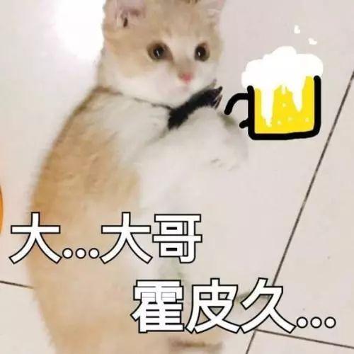 +ذĴŮǡ°͡־죡