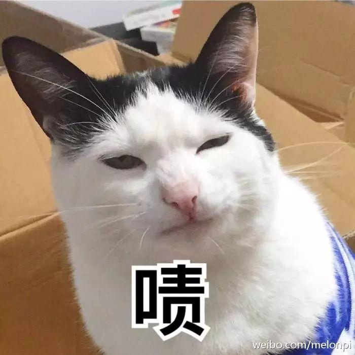 +ذĴŮǡ°͡־죡