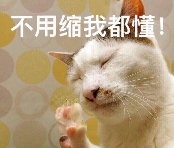 +ذĴŮǡ°͡־죡