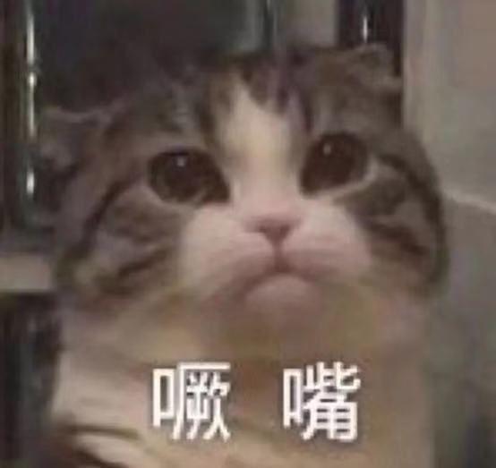 +ذĴŮǡ°͡־죡