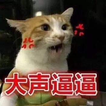 +ذĴŮǡ°͡־죡