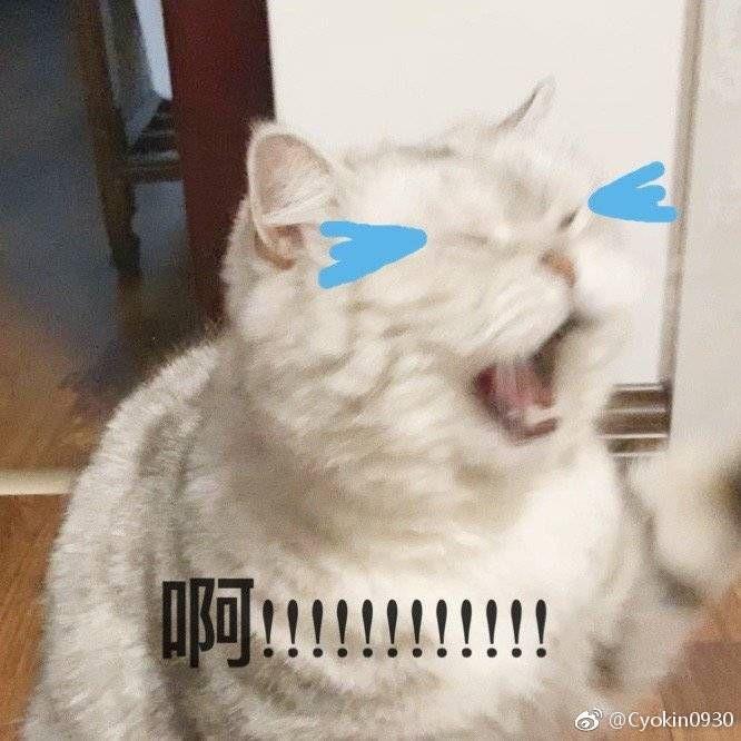 +ذĴŮǡ°͡־죡