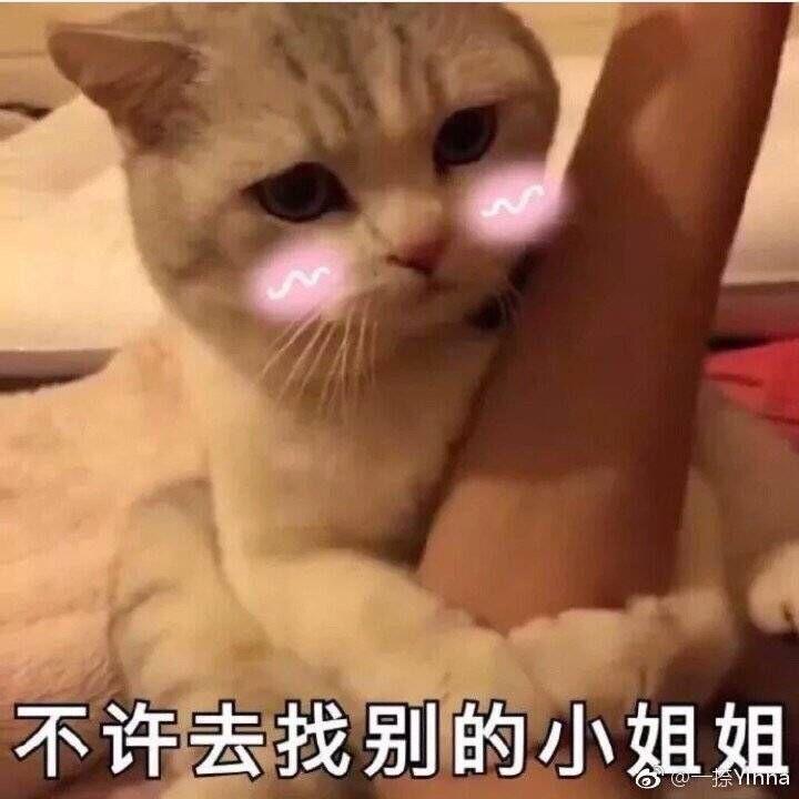 +ذĴŮǡ°͡־죡