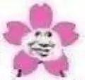 ˥·Ϲ̲Ľõ֤