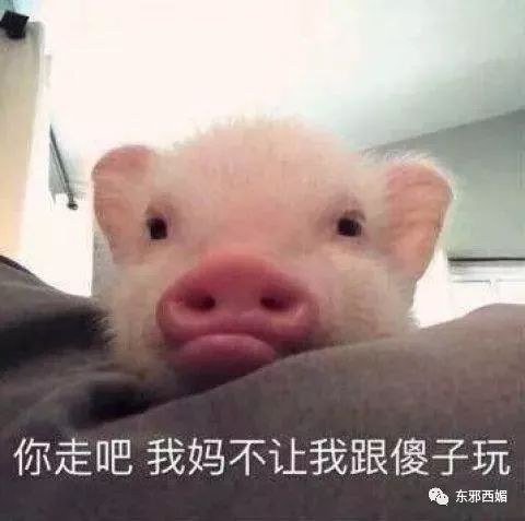 ��������槼������మ�׵����ｹ���ۣ����̧���ֱ�����̣�����˺���