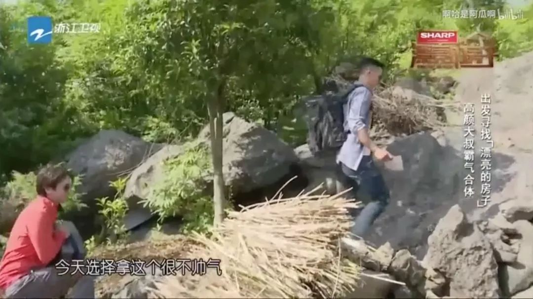 ��ʲô�������桢����׺�л���桢���ɭ����һ��