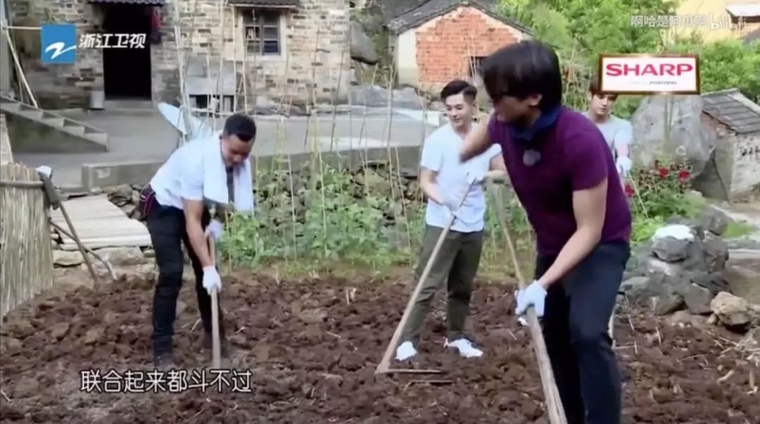 ��ʲô�������桢����׺�л���桢���ɭ����һ��