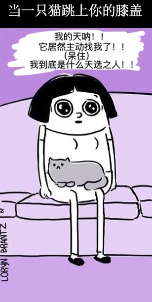 每日神段子丨神总结当代人的恋爱步骤