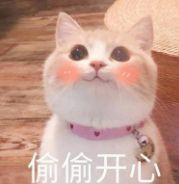 䱻µƬⱬŮ·û뵽ոޣ