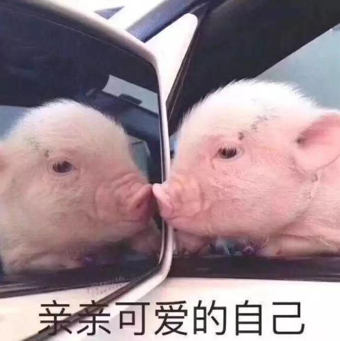 ȥձǧҪ3ҩױйŵ꣬˺û