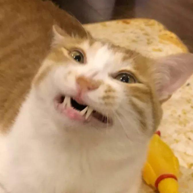 Ь18껳ѧڱ죬2޹䣡