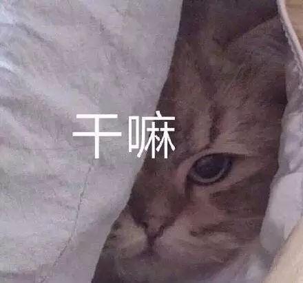 Ь18껳ѧڱ죬2޹䣡