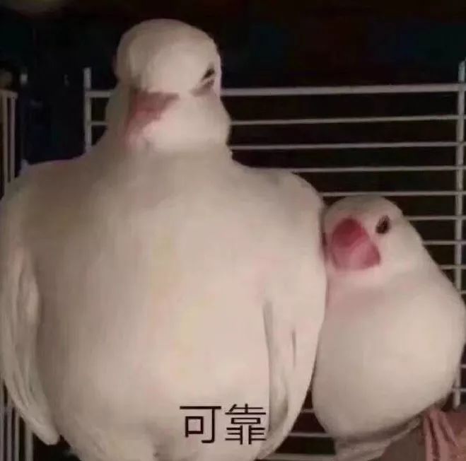 շʵ壬Գʺ󣬽ʳָ֣ĥԼˣ