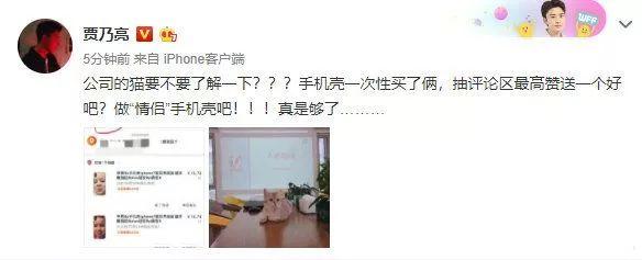 �������ͽ�˫���������������˷��ϡ�