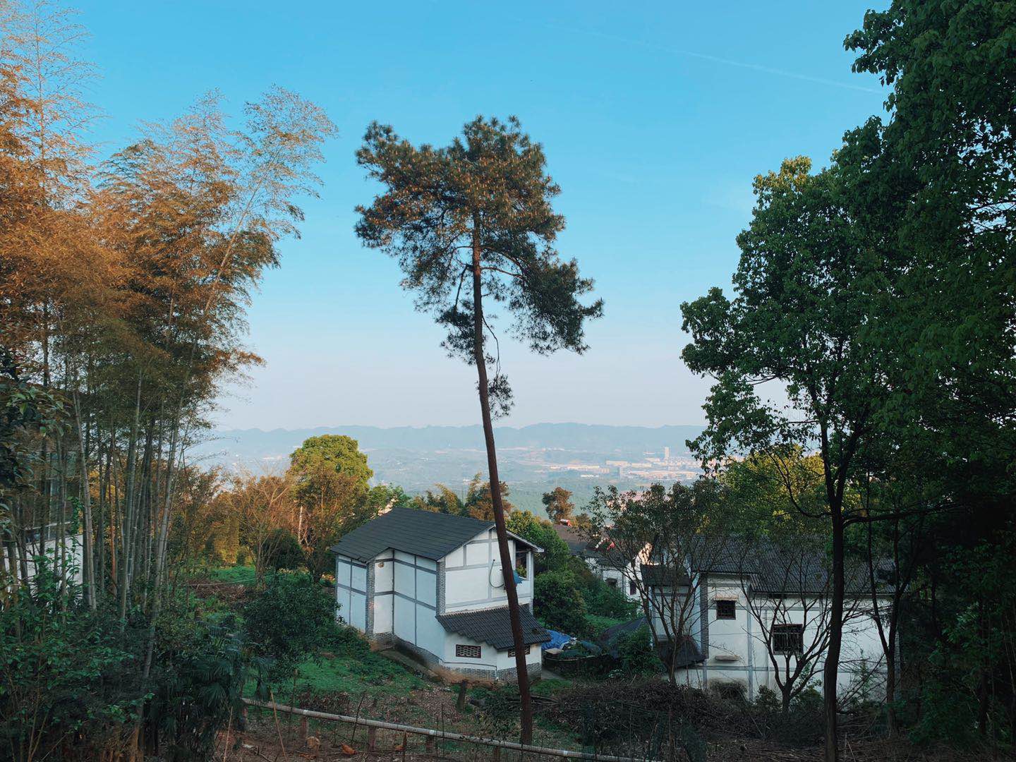 ΢��ͼƬ_20190412140957