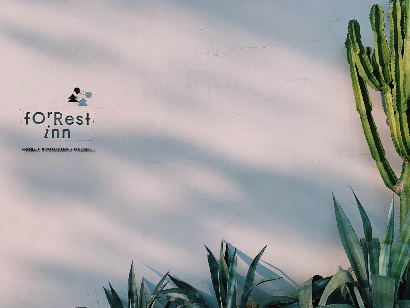 ΢��ͼƬ_20190412141213