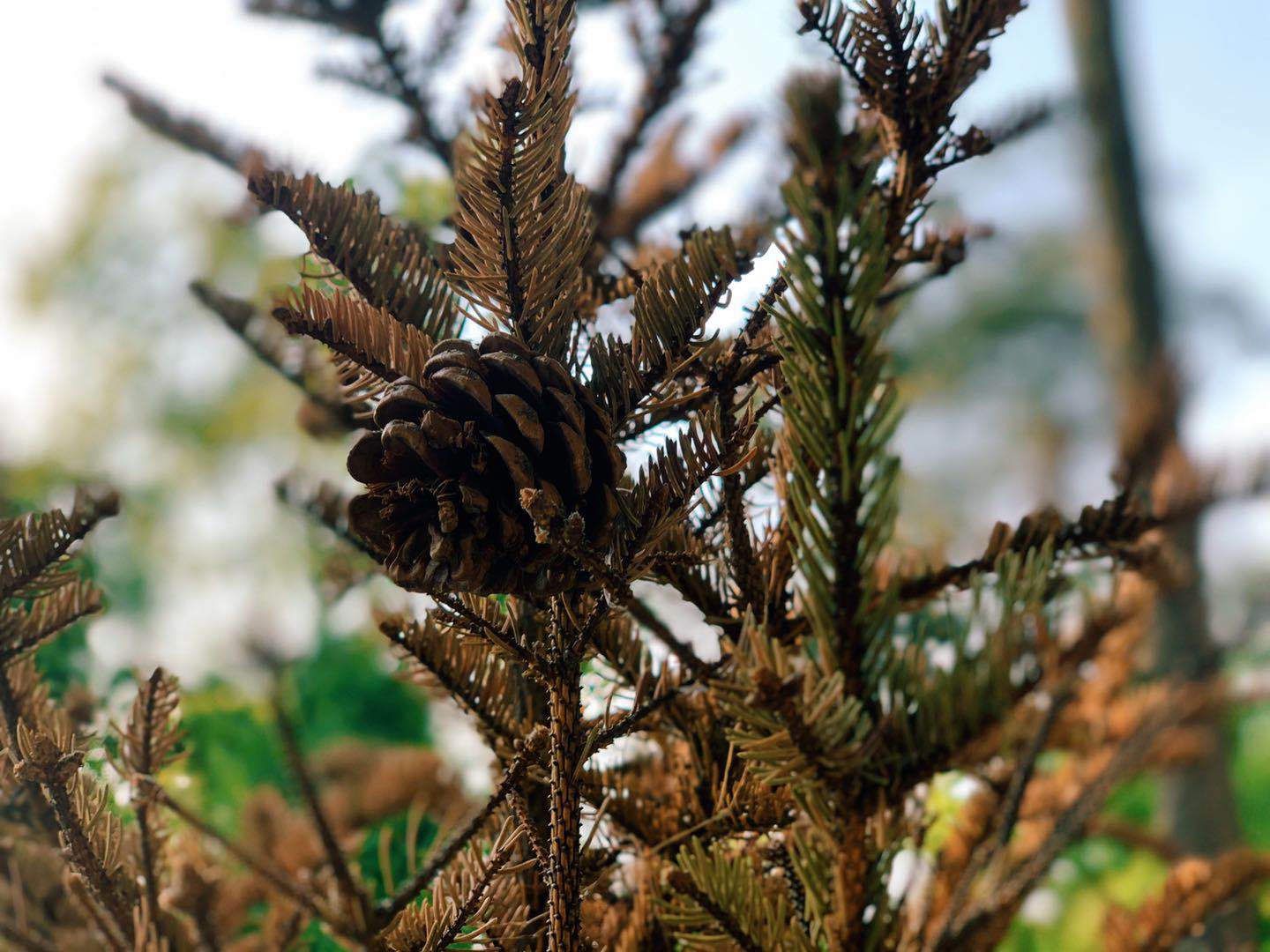 ΢��ͼƬ_20190412142816