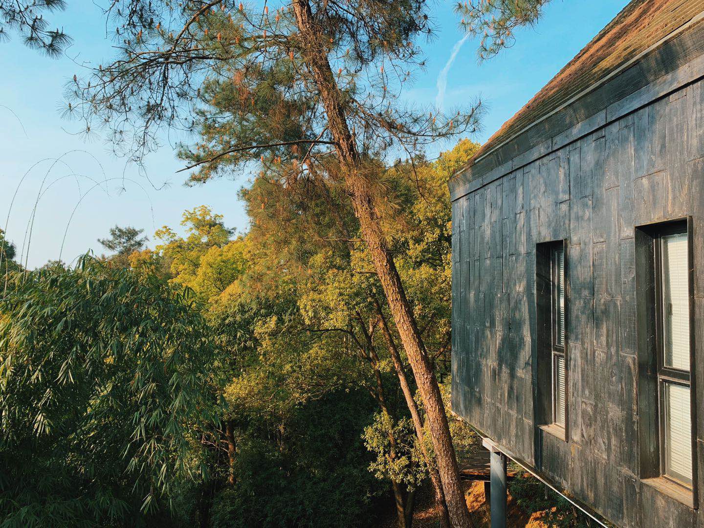 ΢��ͼƬ_20190412143411