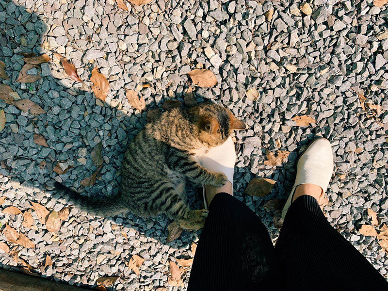 ΢��ͼƬ_20190412141759_����