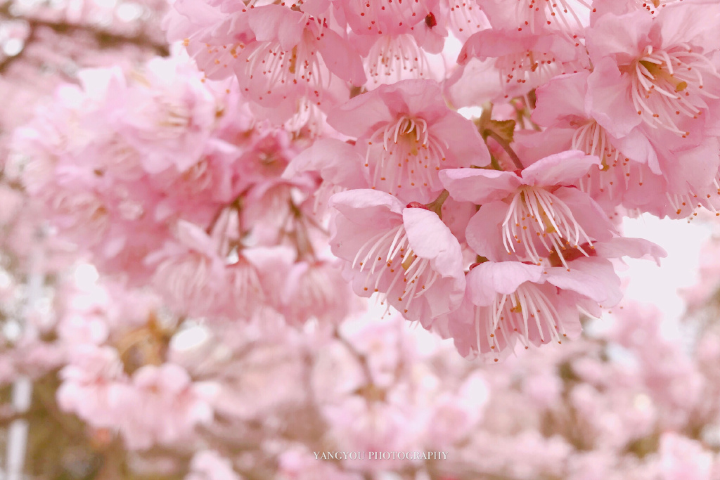 5fb34eb4ly1g09l02b1xdj22io1og7wl