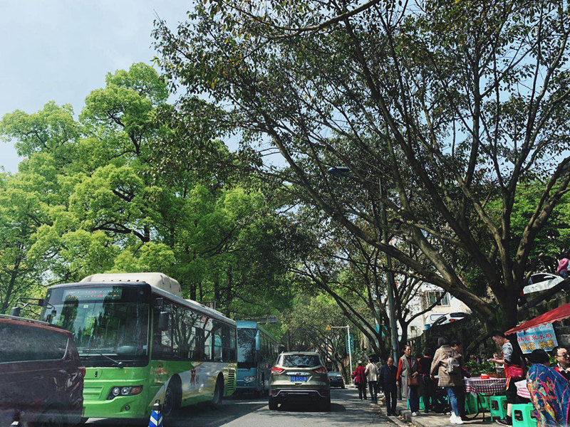 ΢��ͼƬ_20190412162440_����