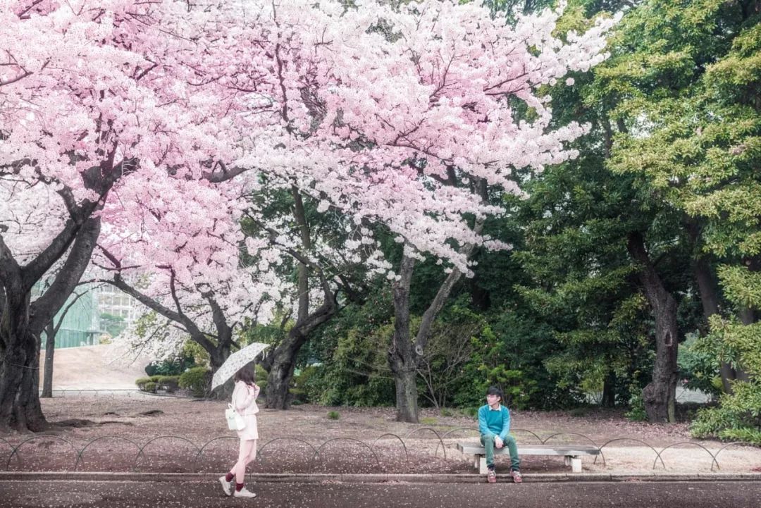 80��������˵���5�ꡣ