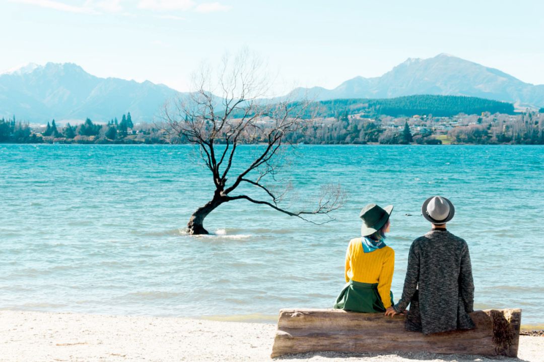 80��������˵���5�ꡣ