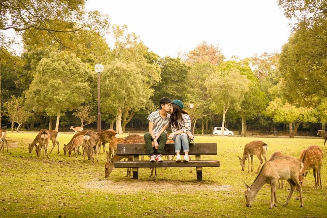 80��������˵���5�ꡣ