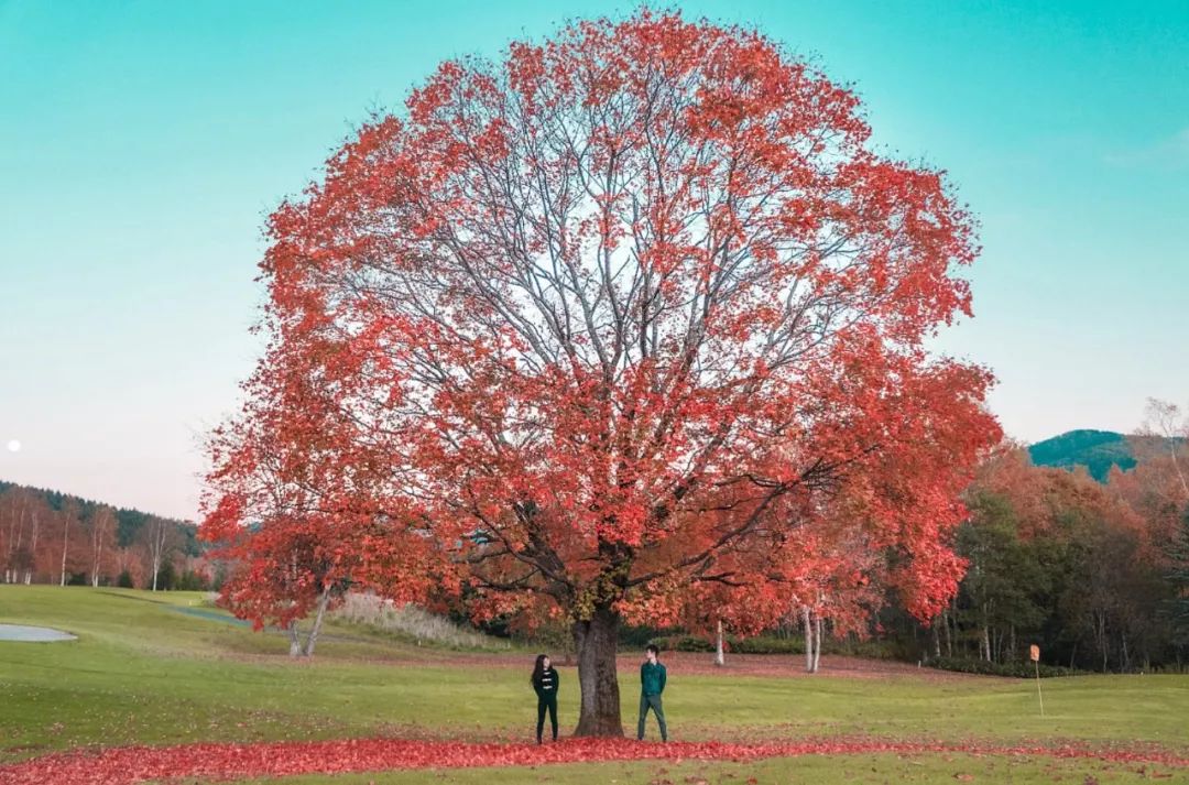 80��������˵���5�ꡣ