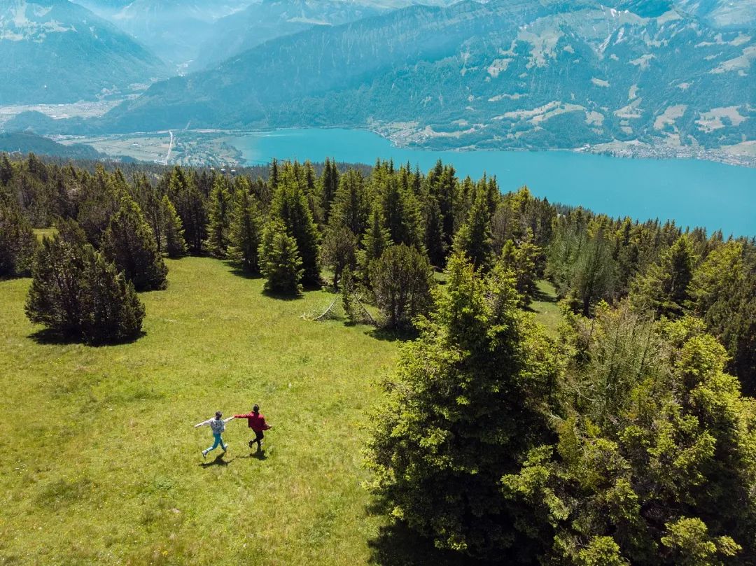 80��������˵���5�ꡣ