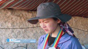 ������ô��������