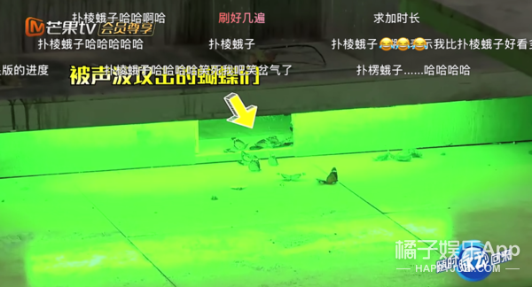 ������һ�����գ����˱����Ǹ�����˼�ˣ�