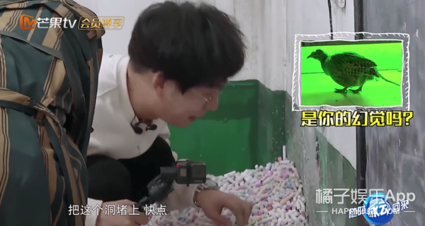 ������һ�����գ����˱����Ǹ�����˼�ˣ�