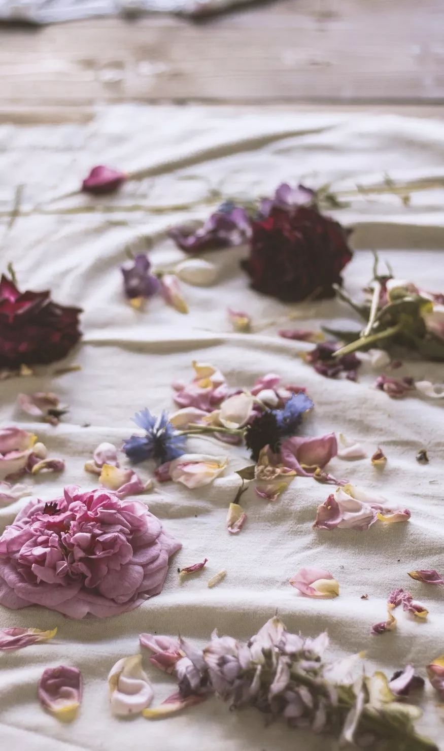 ���� | ���������鿩��