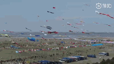 û��ȥΫ���Ź����ݣ�������̸������