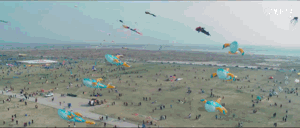 û��ȥΫ���Ź����ݣ�������̸������